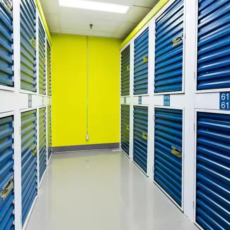 Customized 20ft Portable Storage Container with Roll-Up Door